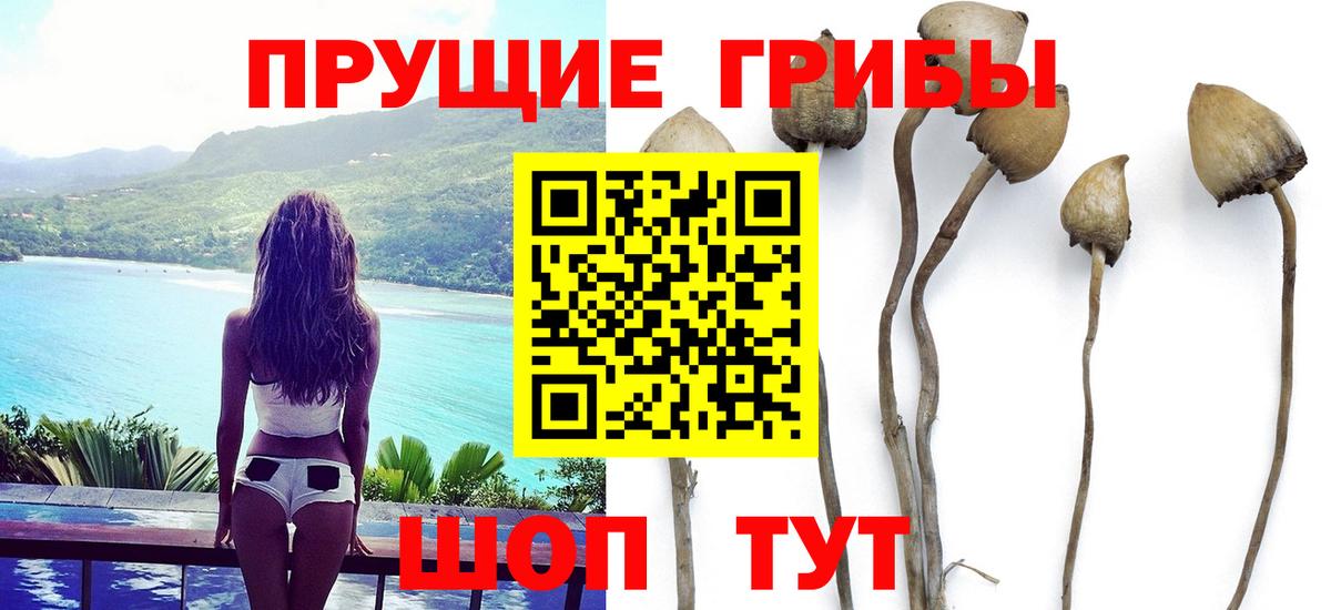 Галлюциногенные грибы прущие грибы Южноуральск