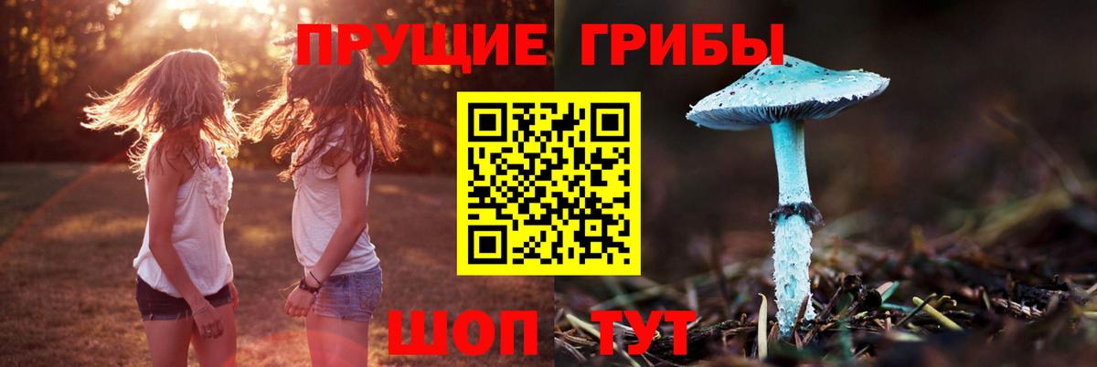 Южноуральск  Псилоцибиновые грибы ЛСД  Вход с VPN 